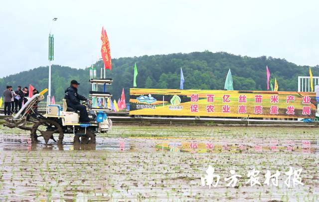 连州市连正农业发展有限公司所在的连州市西岸镇河田村。黄津 摄